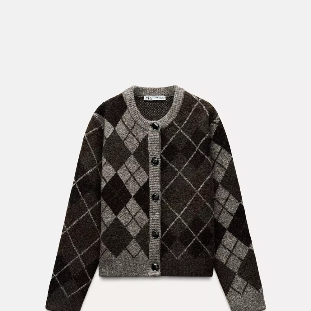 Zara Argyle Cardigan Sweater